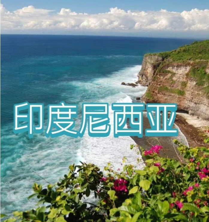 际电商(印尼)产业博览会开元棋牌2025中国国(图3)