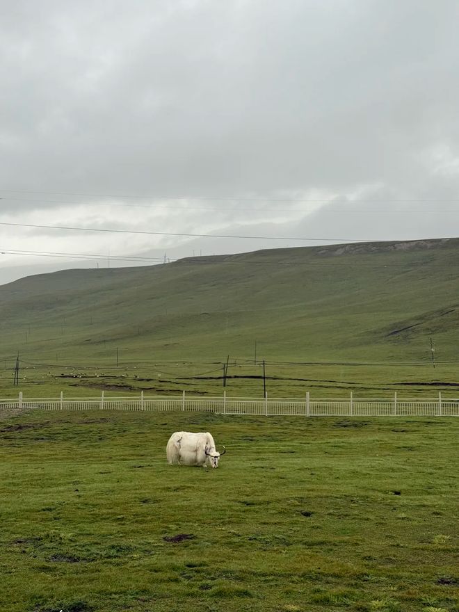 甘青大环线最佳路线图与深度旅游攻略开元棋牌青甘大环线怎么玩？收藏这份(图2)